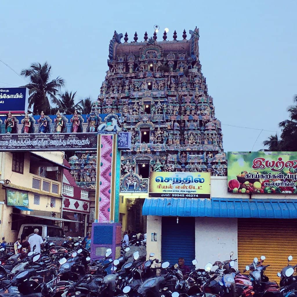 Street Food Delights