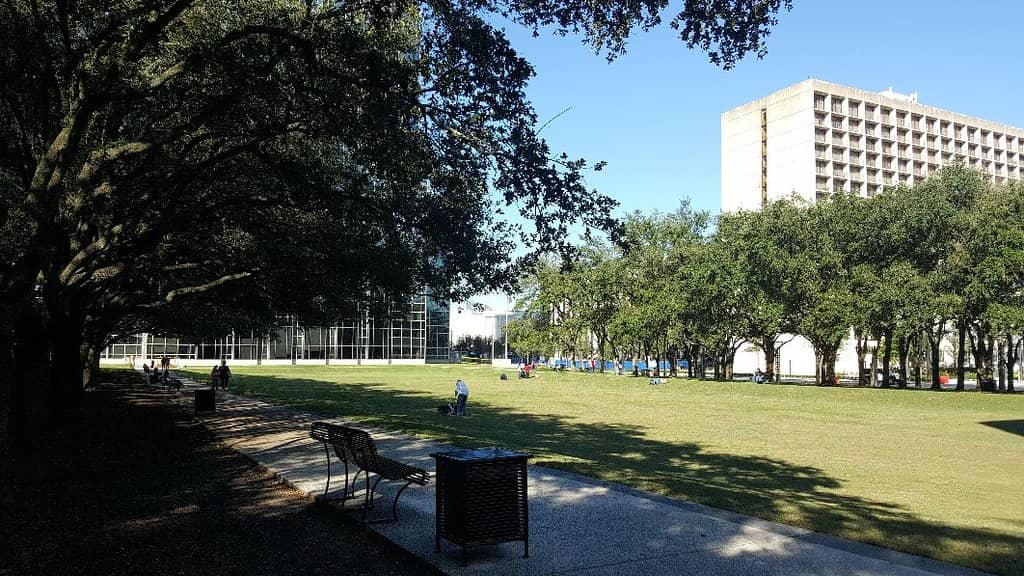 Peaceful Green Space