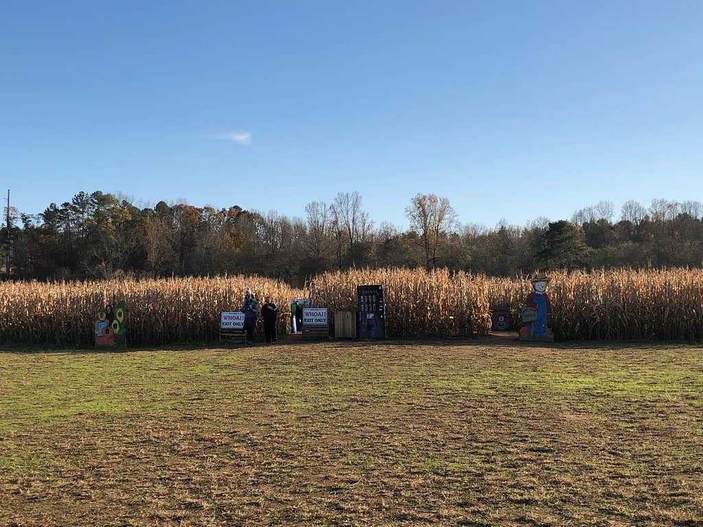 Scenic Hayrides