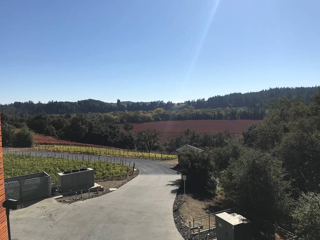Barrel Tasting Experience