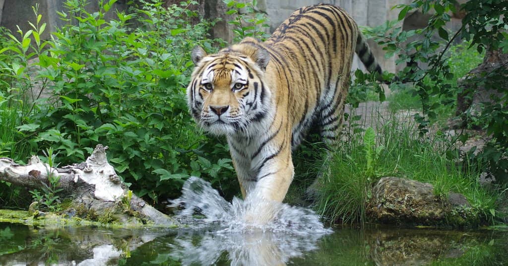 Effie Awards Ceremony