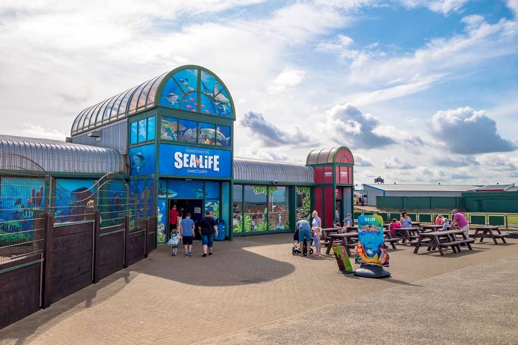 Low Tide Beach Exploration