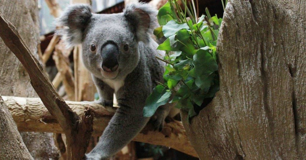 Architectural Grandeur