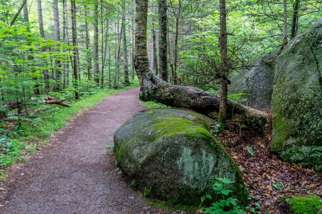The 'Cave' Formation
