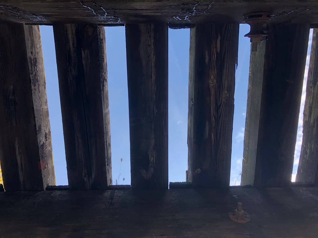 Vertical photo