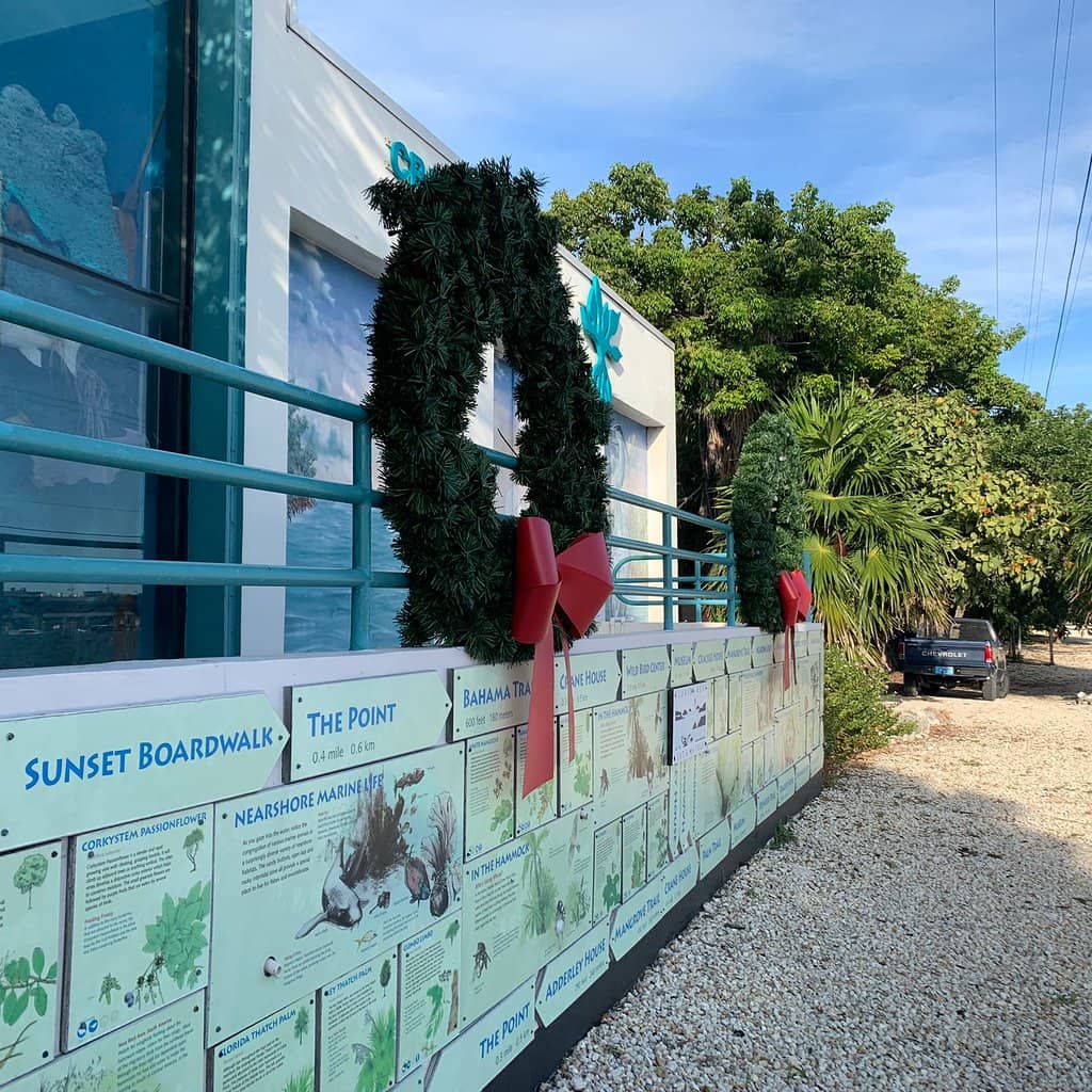 Fish Pedicure Lagoon