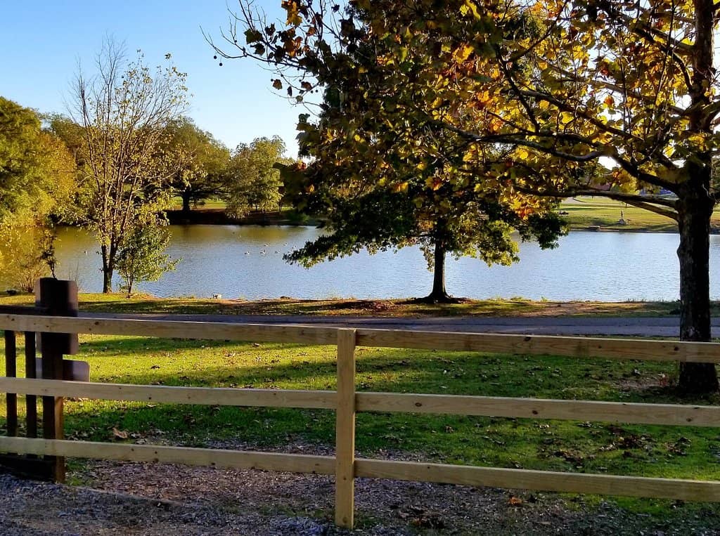 Toddler Farm Play Area