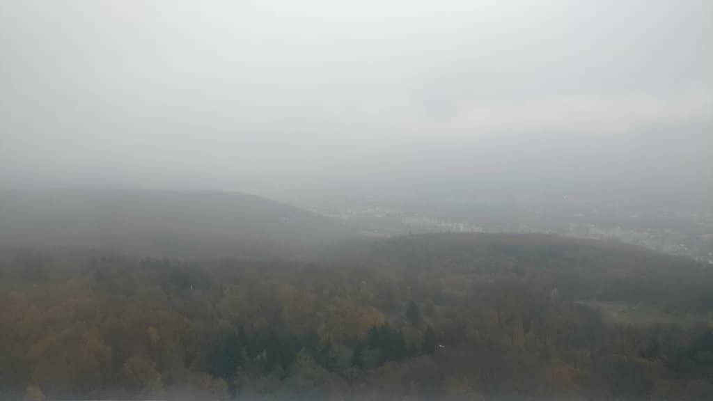 Arboretum of Noble Families