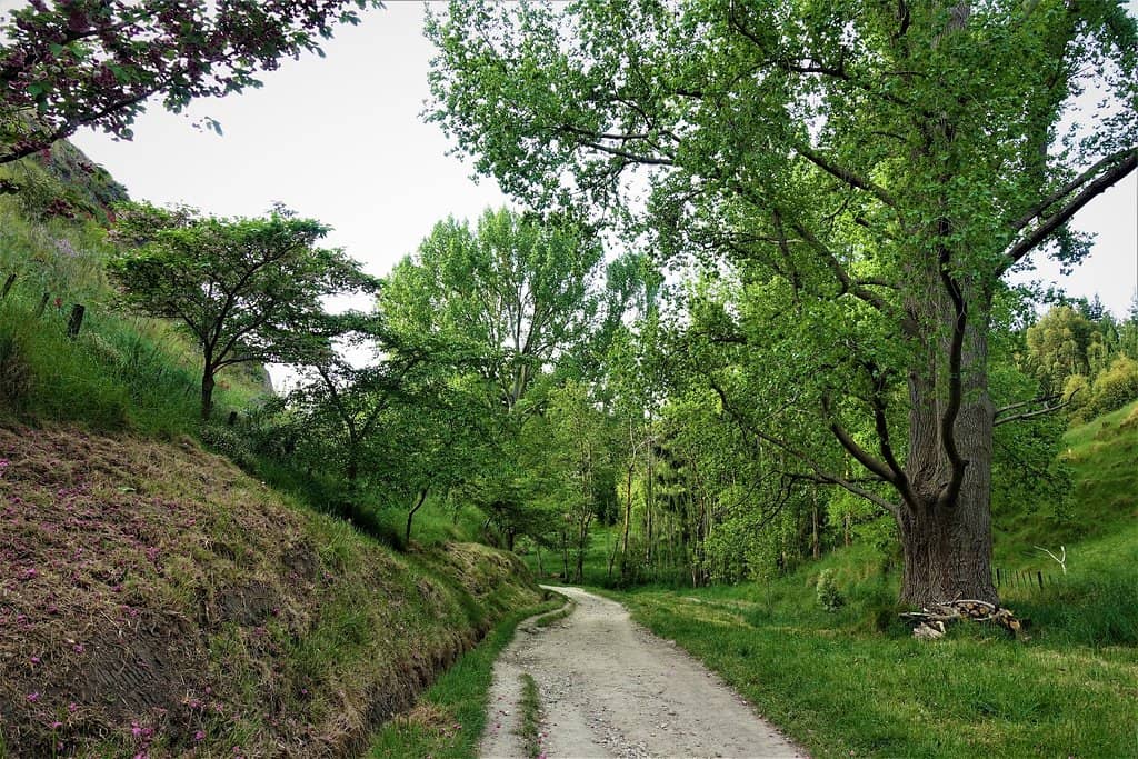 Panoramic Hawke's Bay Views