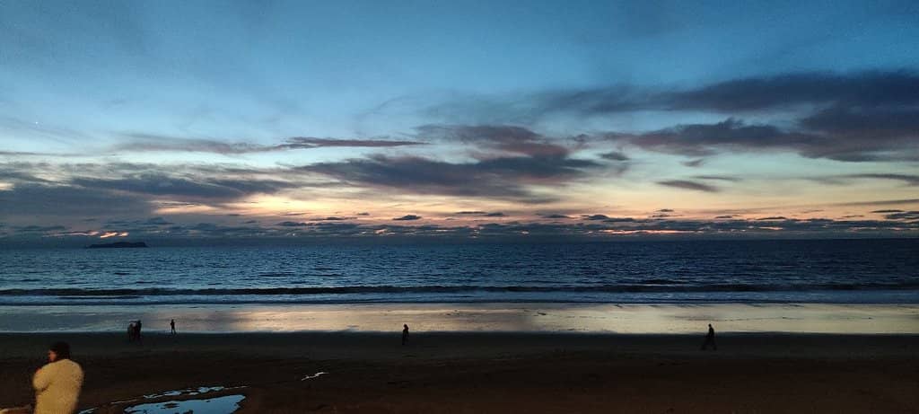 Artistic Expression on Display