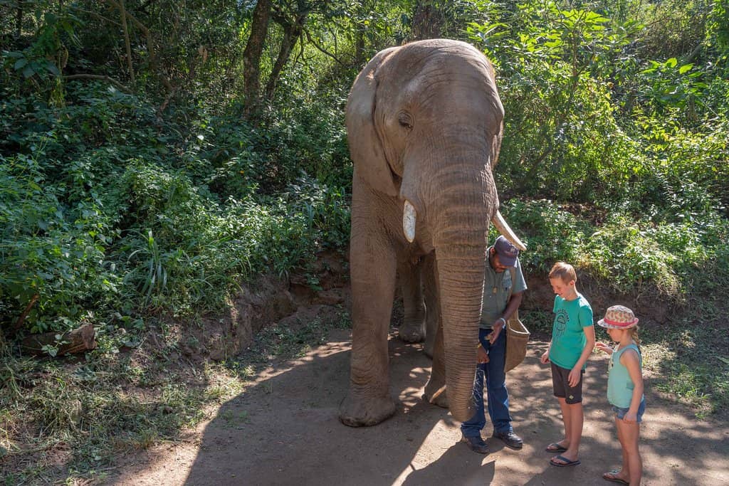 Educational Sessions