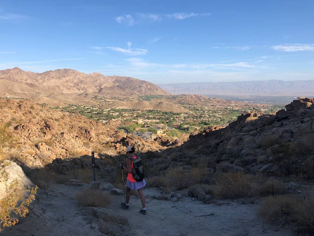 Hidden Desert Oasis
