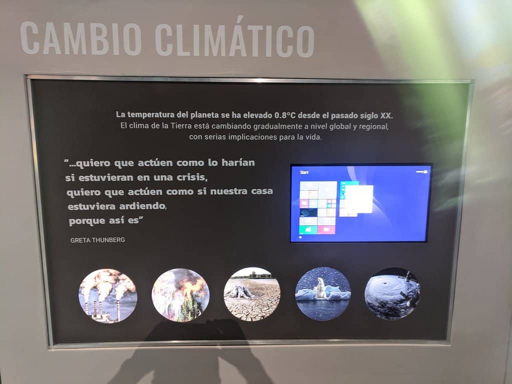 Moon Rock Display