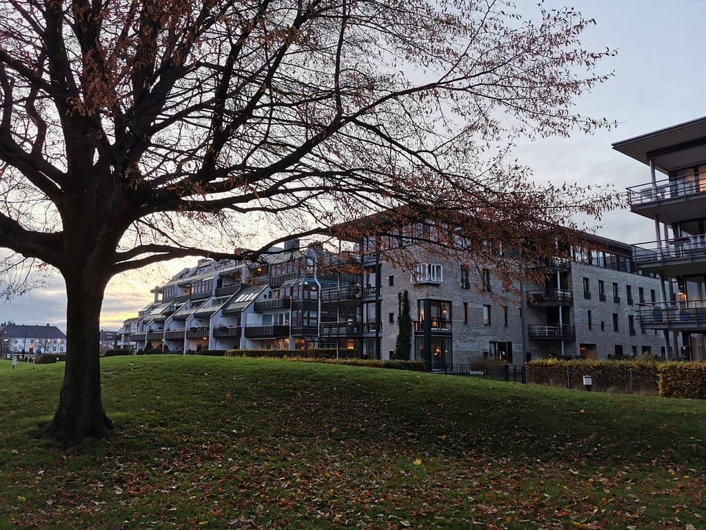 Gardening Plots & Insect Colony