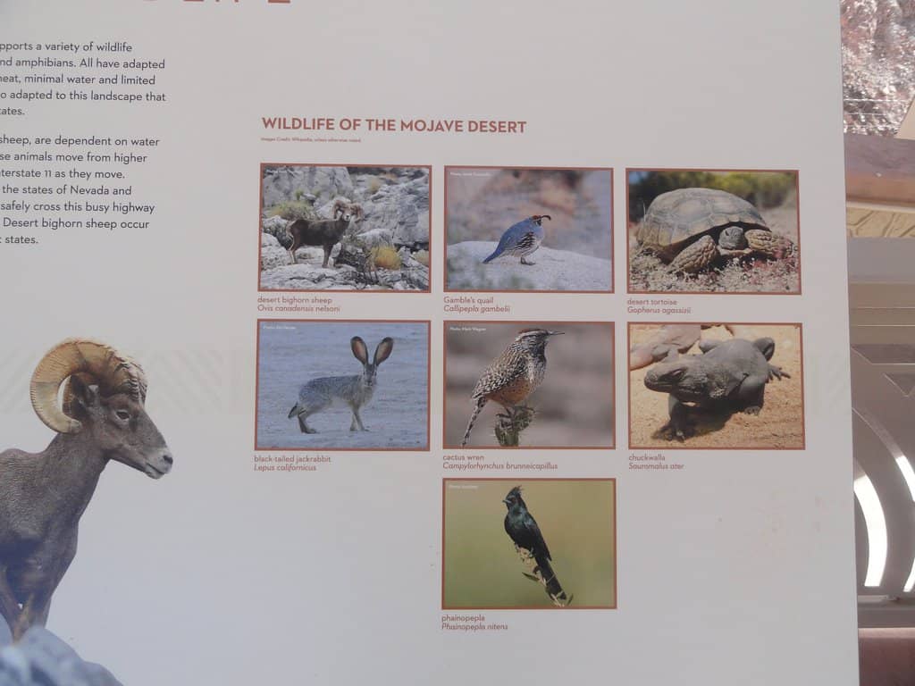 Secluded Coves & Beaches