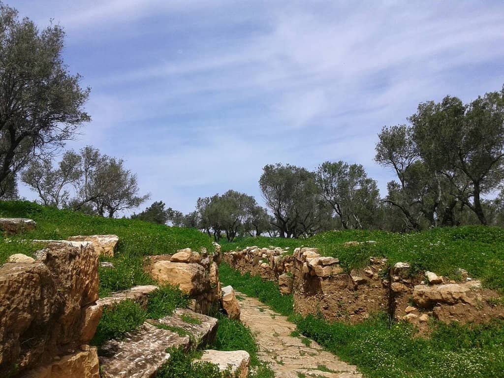Ottoman Fortress