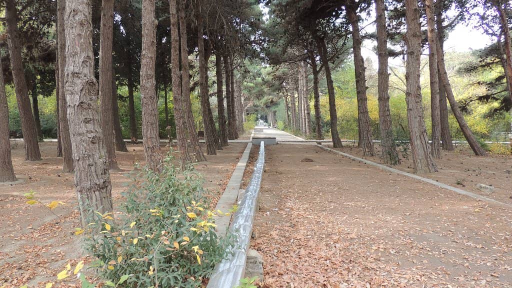 The Bridge