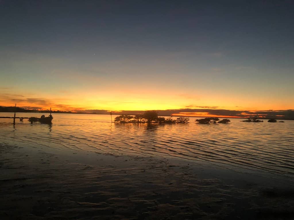Mangrove Exploration
