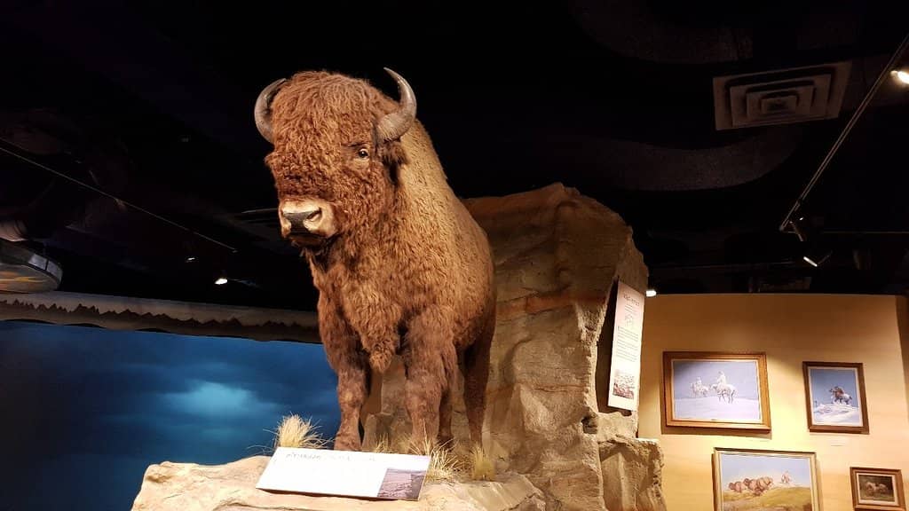 Howie Tsui: Retainers of Anarchy