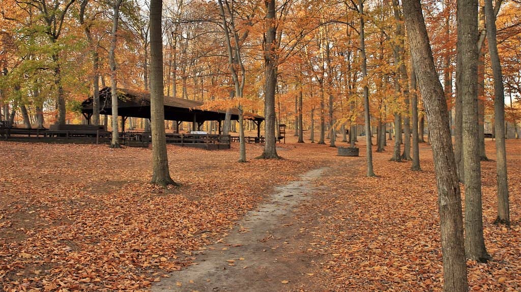 Extensive Trail System