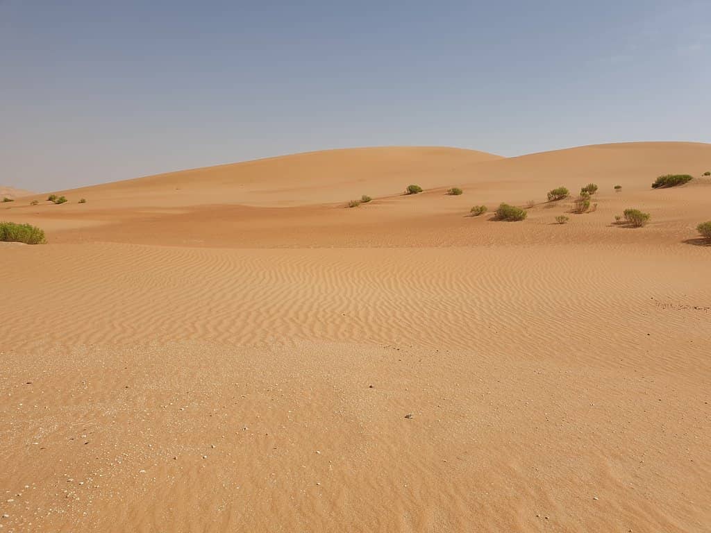 Liwa International Festival