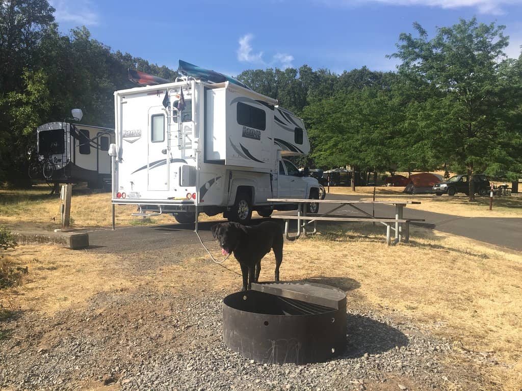 Train Spotting Spectacle