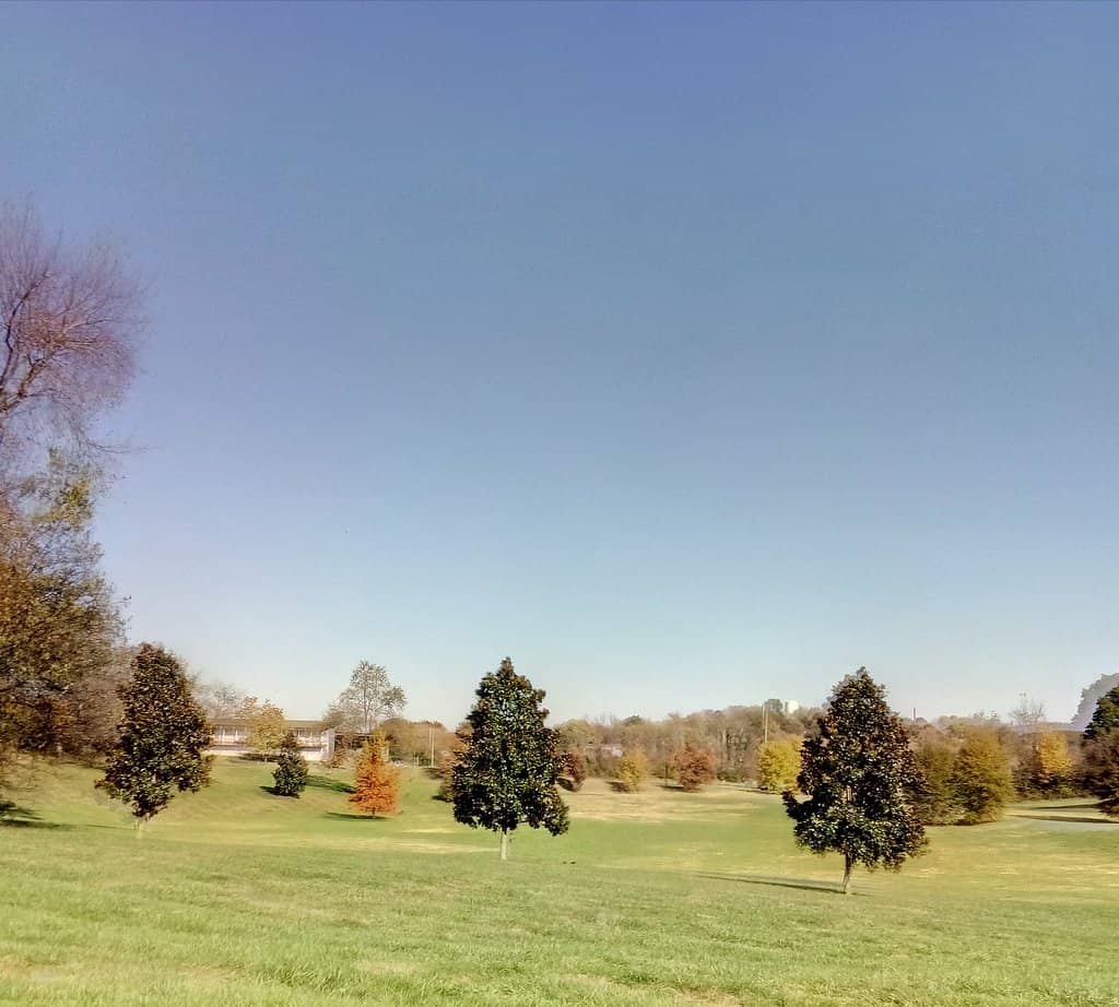 Beginner-Friendly Trails