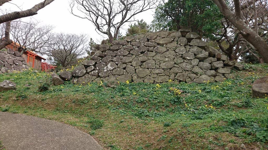 Cherry Blossom Spectacle