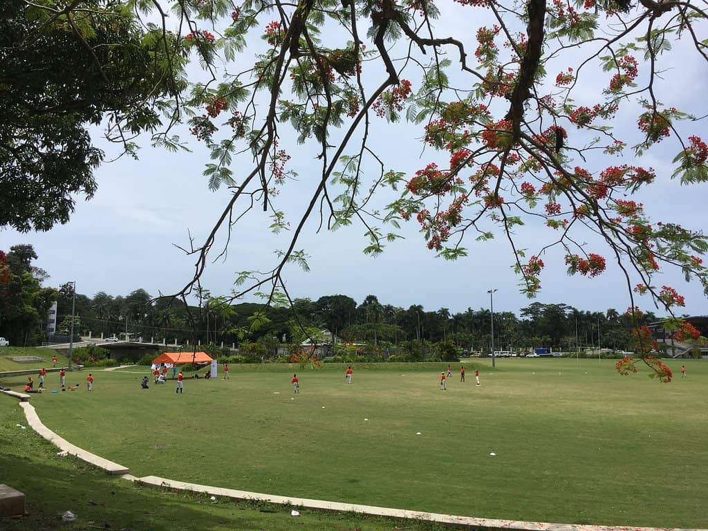 Picnic & Recreation Spots