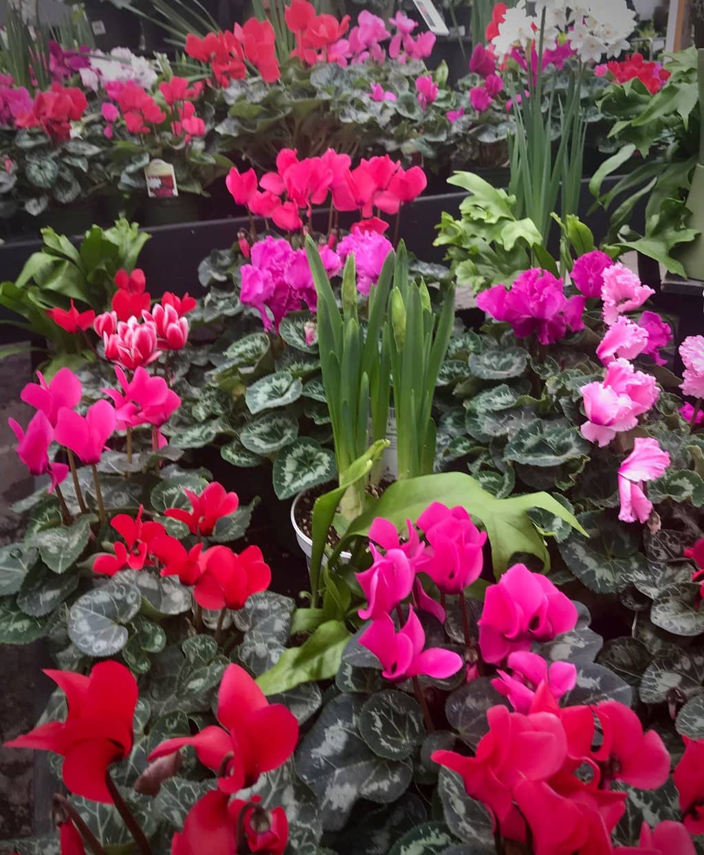 Freshly Prepared Cafe Fare