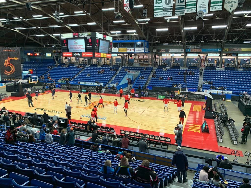 Concerts and Live Performances