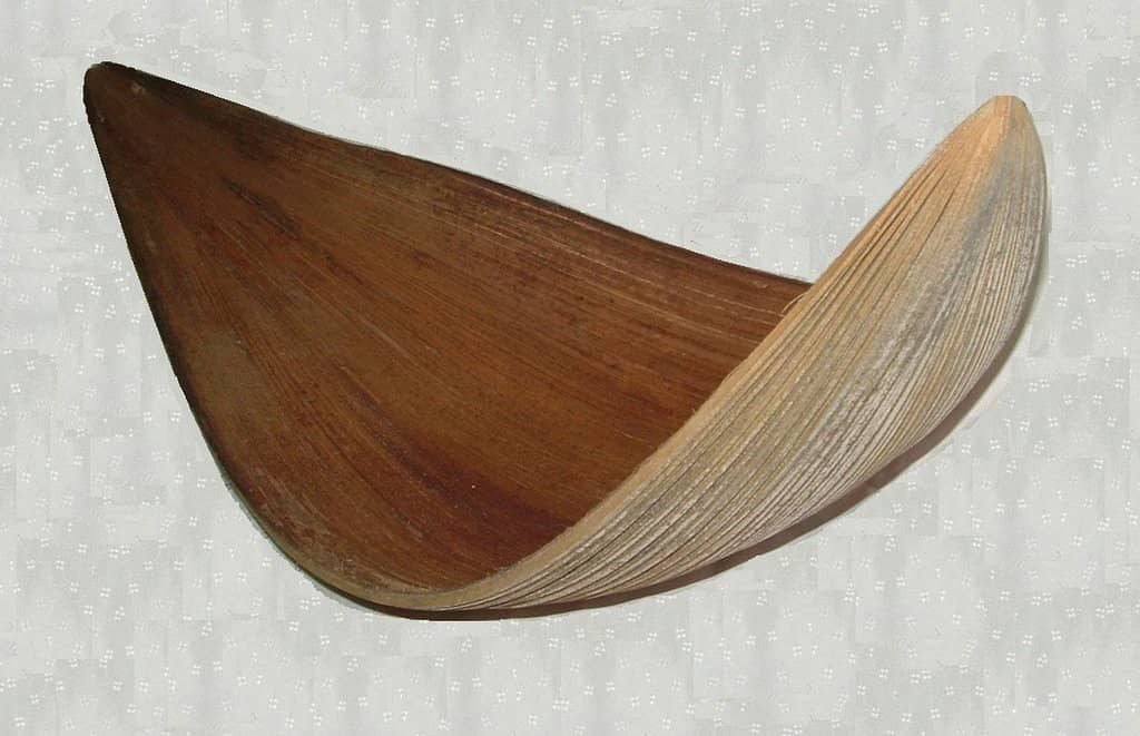 Applied Art Collections