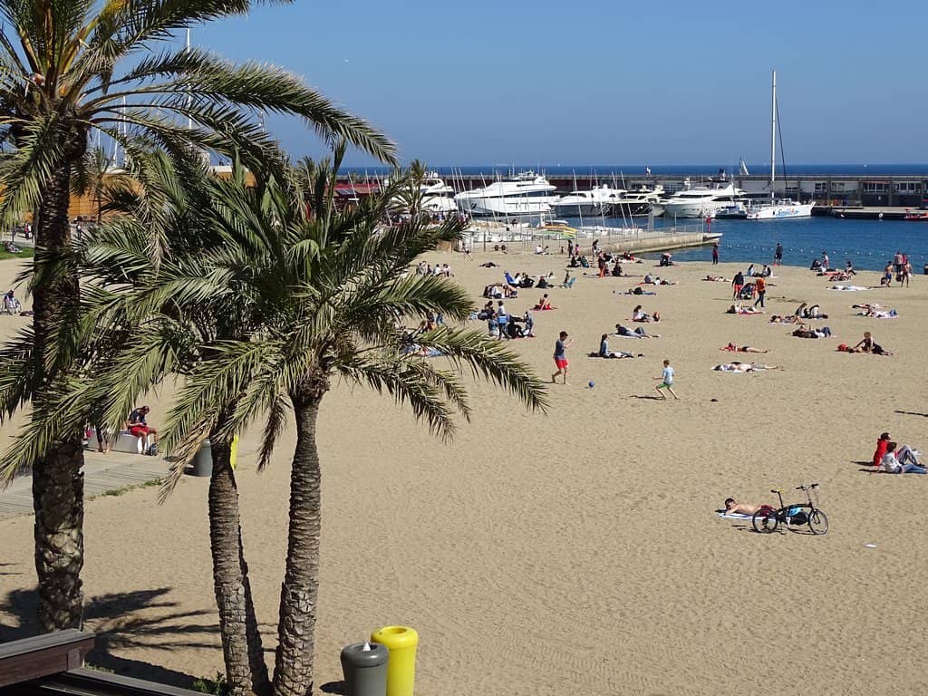 Vibrant Beachfront Promenade