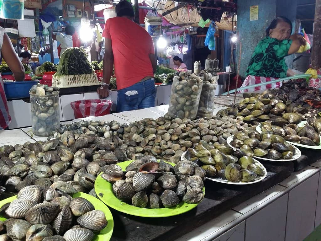 Fresh Seafood Galore