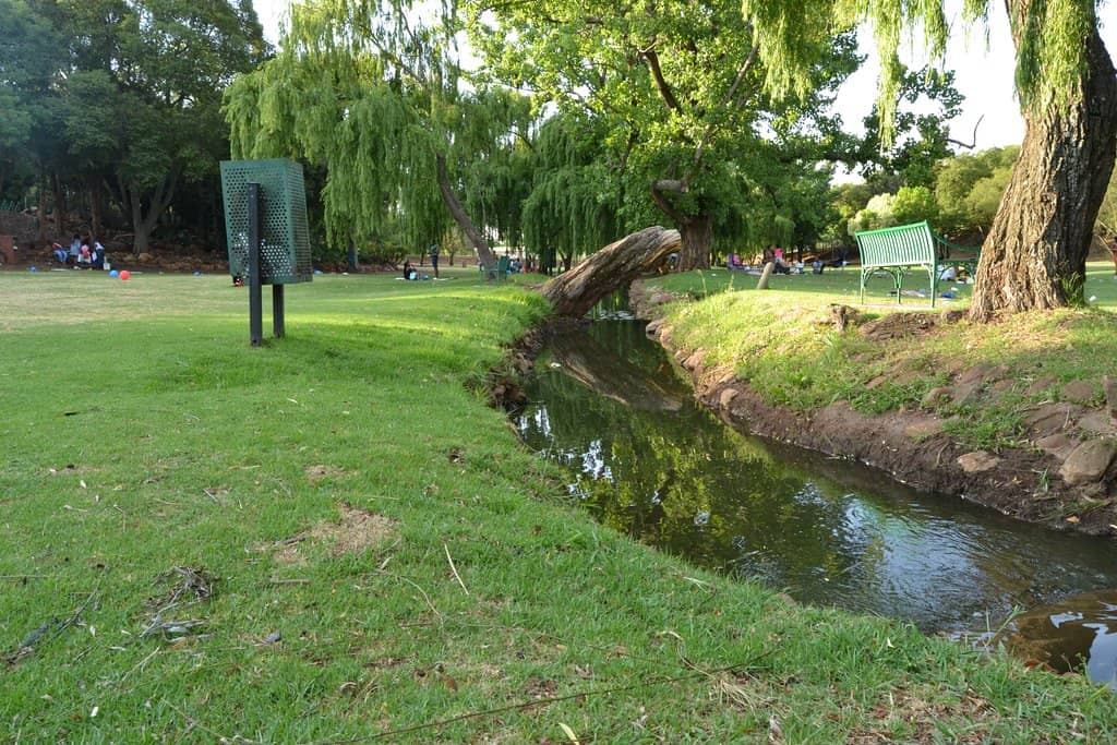 Skate Park & Community Events