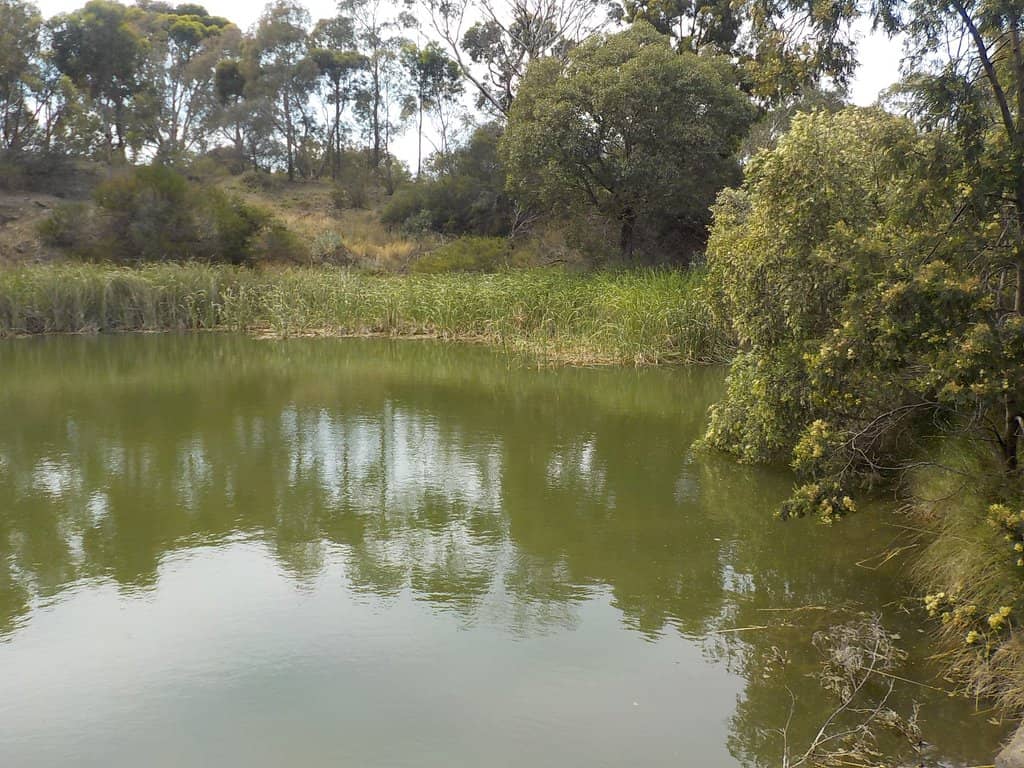 Children's Playground
