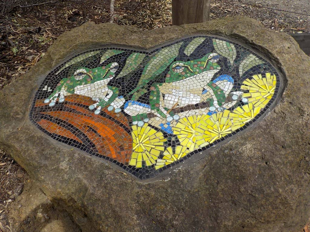 Native Plant Gardens