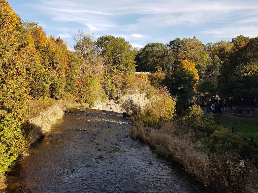 Hiking Trails