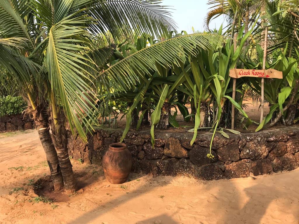 Mouthwatering Goan Seafood