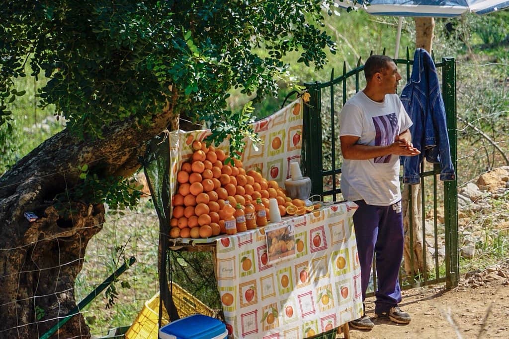 Tranquil Mountain Atmosphere