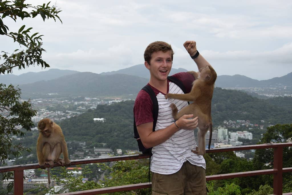 Monsoon Waterfalls & Greenery