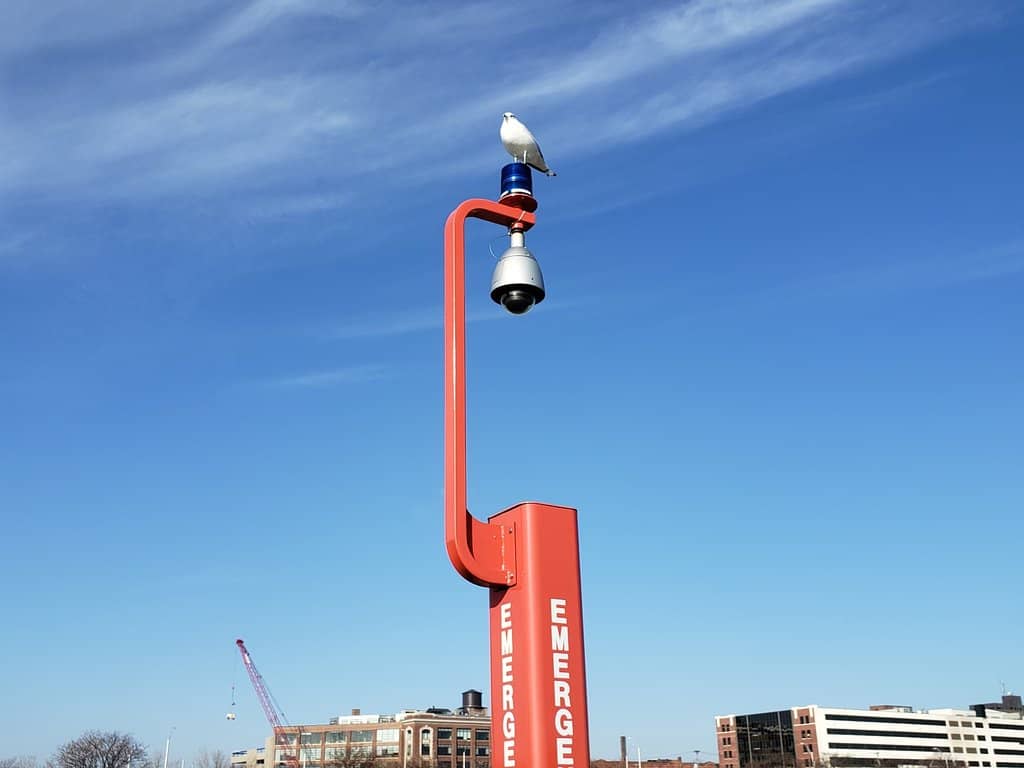 Vertical photo