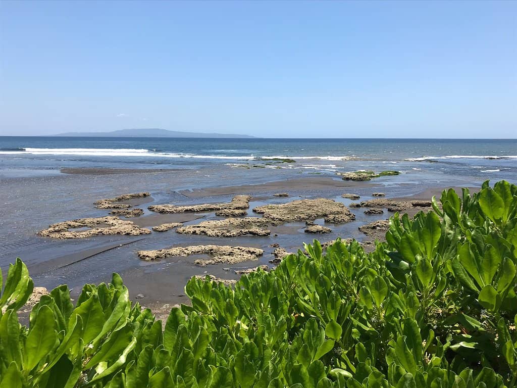 Authentic Balinese Scene