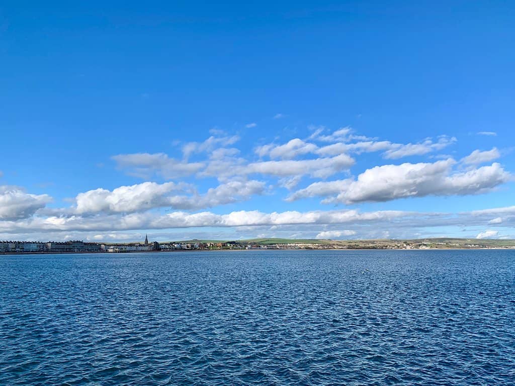 Newton's Cove