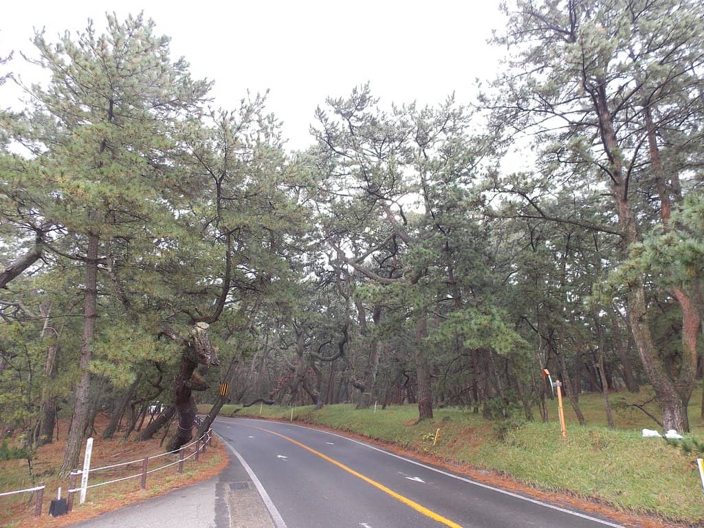 Vertical photo