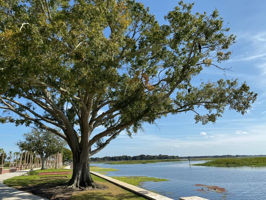 Picnic & Gathering Spots