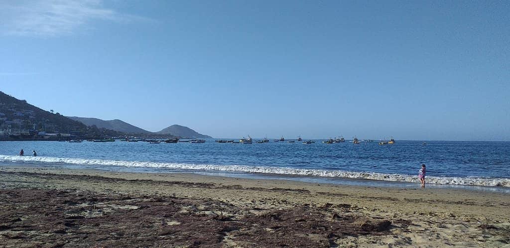 Scenic Coastal Views