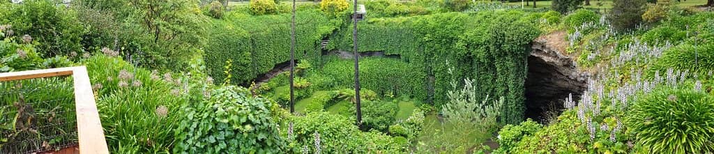 The Sunken Garden Oasis