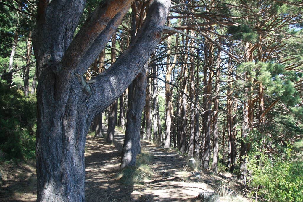 Moncayo Summit