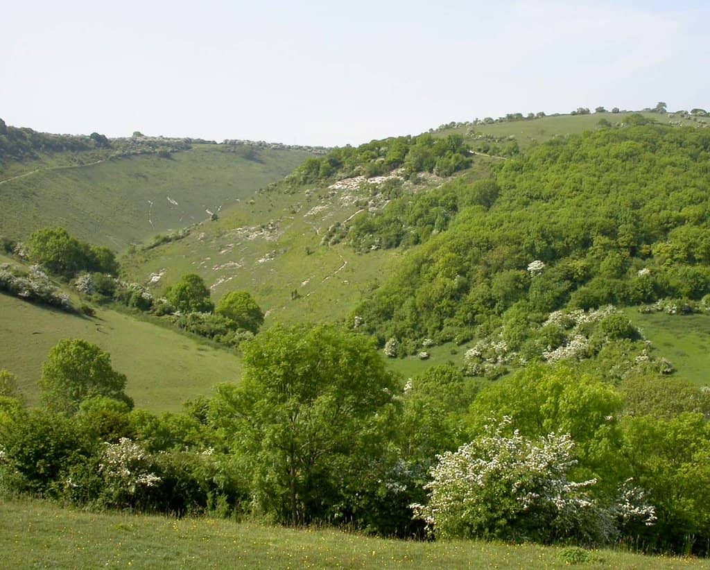 The V-Shaped Valley